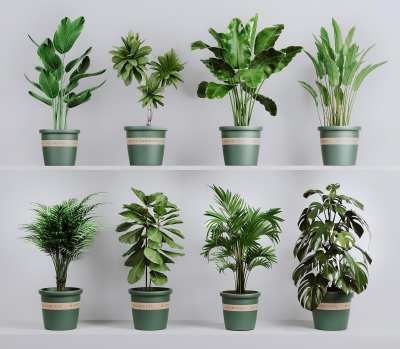 现代绿植盆栽3D模型下载